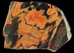 Polished Tiger Iron Stromatolite - ( Billion Years) #75838-1